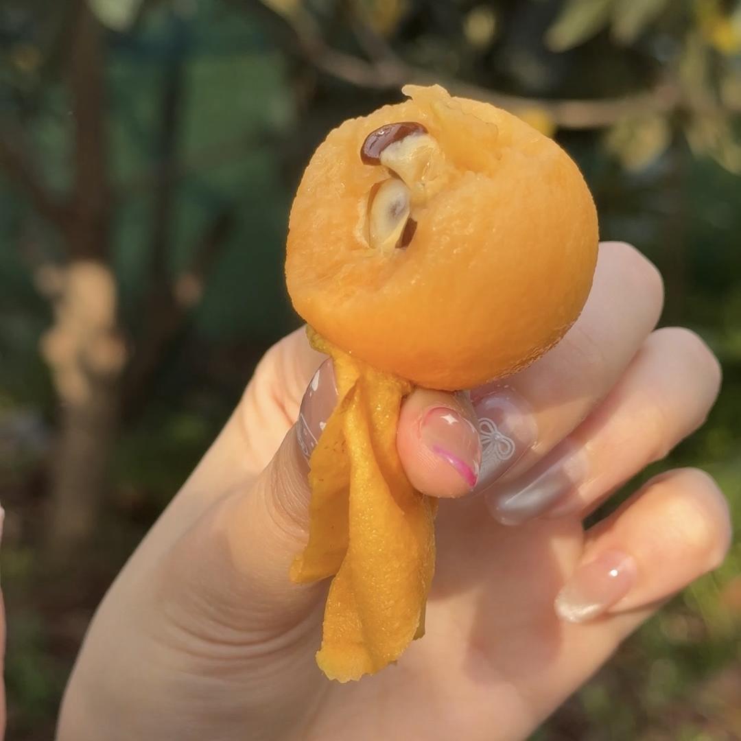 佳藕农鲜汇