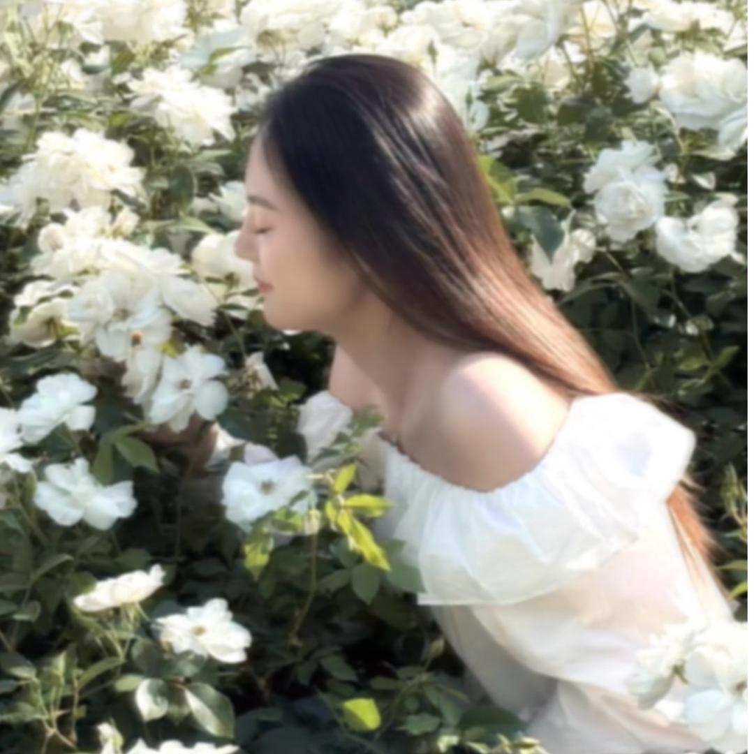 爱画大饼🍪小仙女🍓