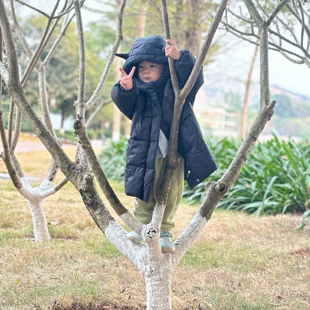 及时行乐