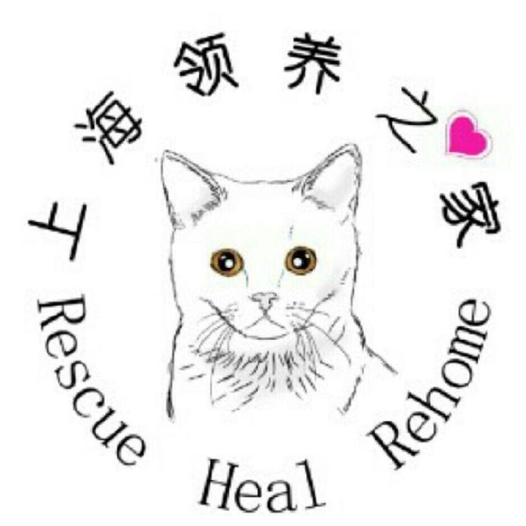 领养之家爱宠食品用品