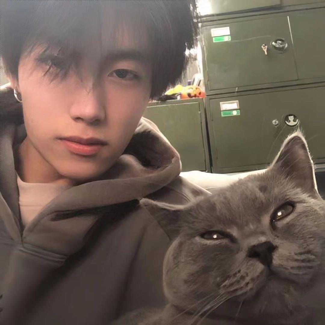 橘子商行（军火商）