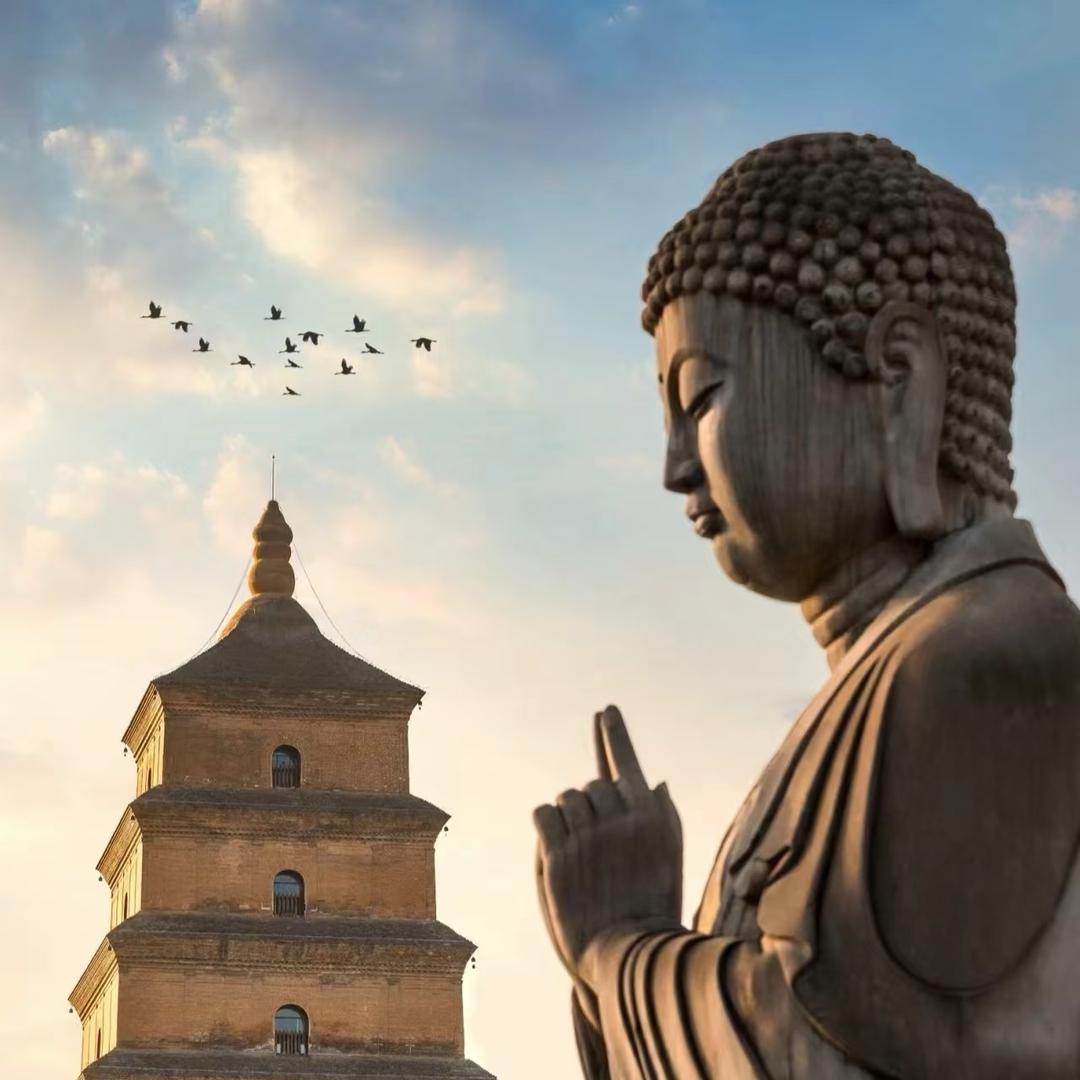 西安旅游陕历博（旅游攻略纯玩团）