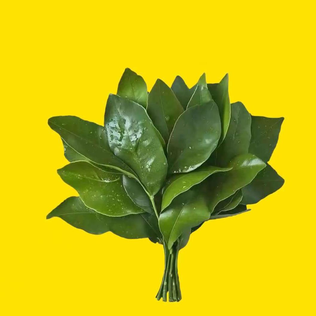 柒柒🔆（不准蹦蹦蹦）