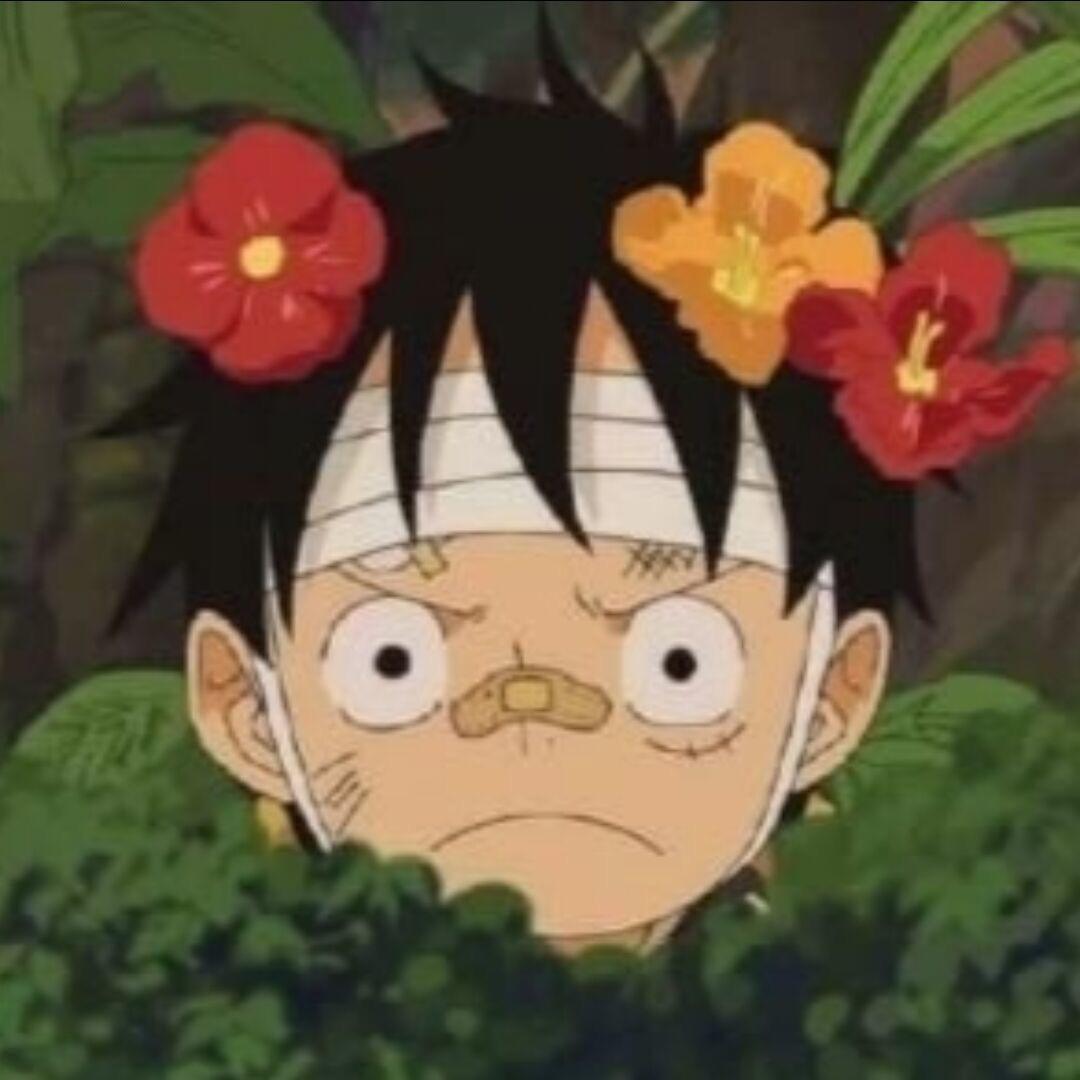 咕咕咕咕咕