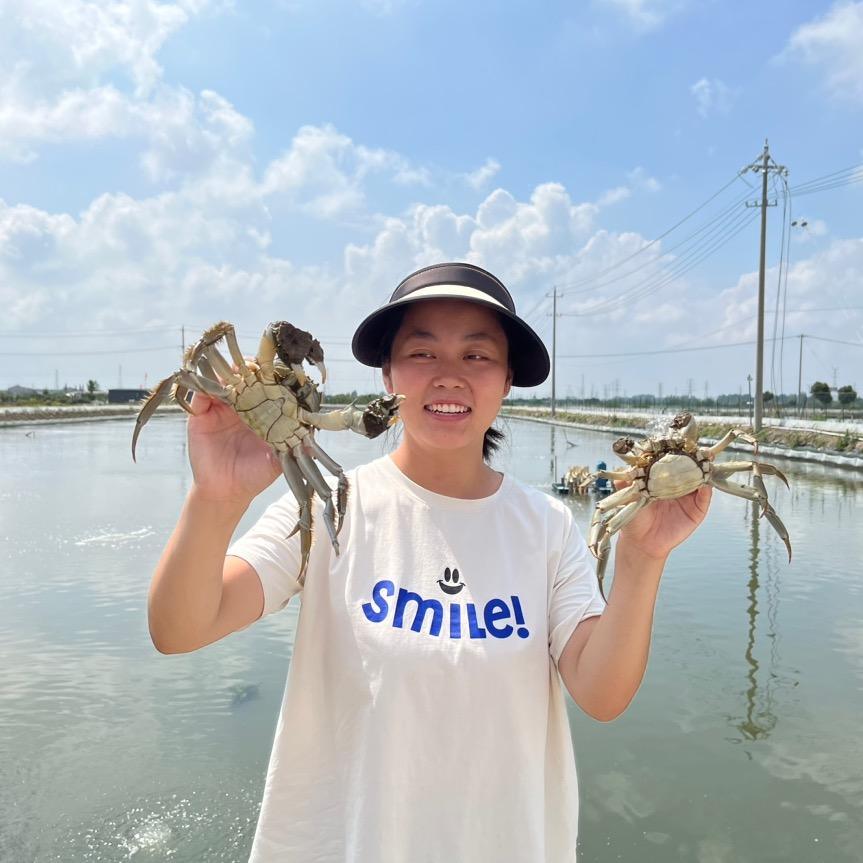 江苏尖团大闸蟹