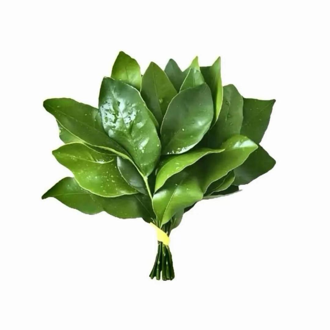 小糯子