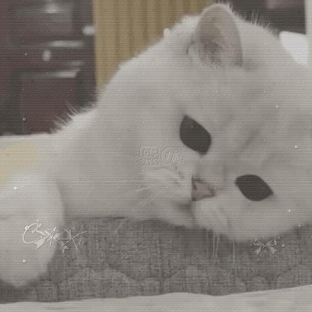 陷阱