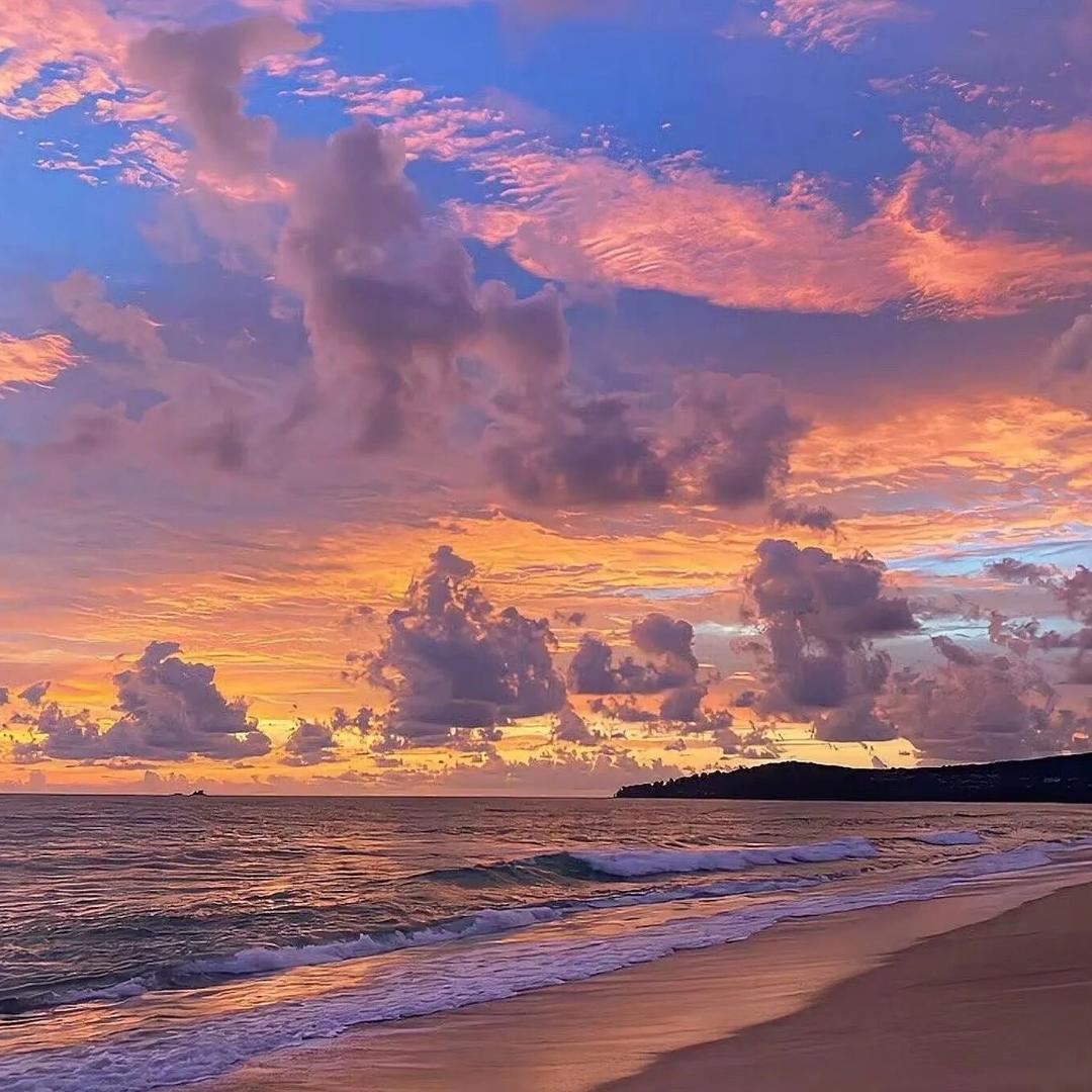 ［翡翠小白菜］