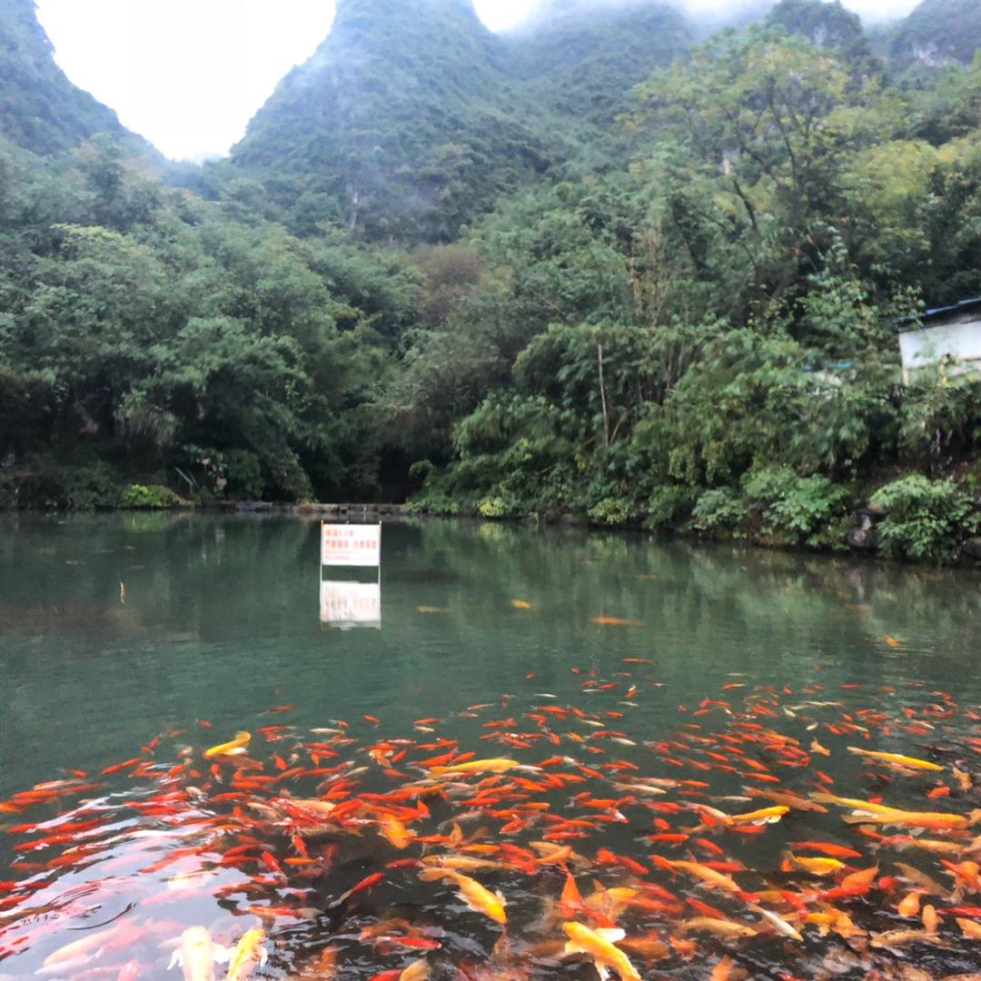 海南旭红实业看房