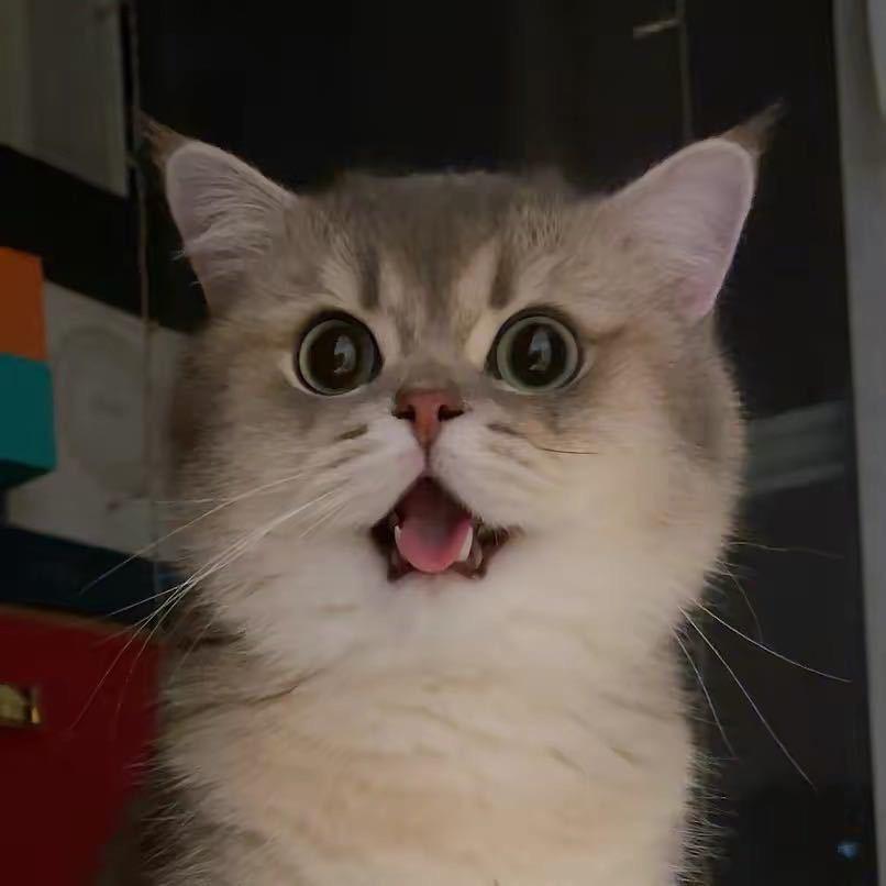 赖赖