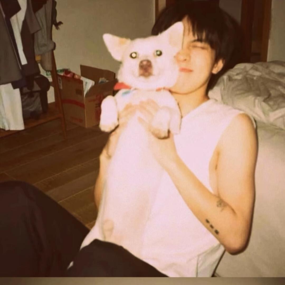 MC 运营总监 葫芦