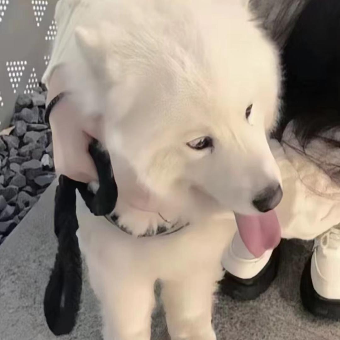 小琳神💫