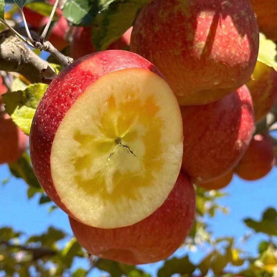 聚鲜阁农产品臻选