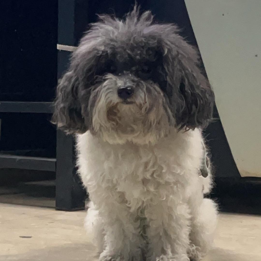 卸载了，不丸辣