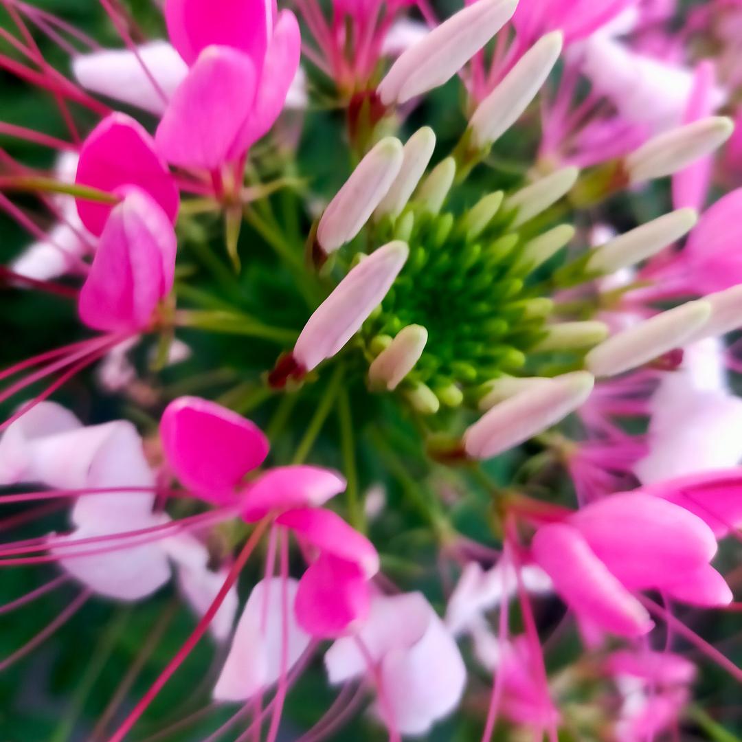 深情不及久伴🦋