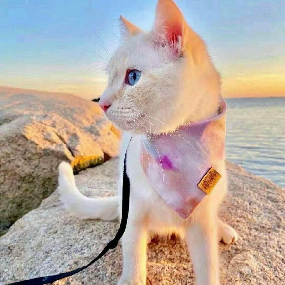 Why