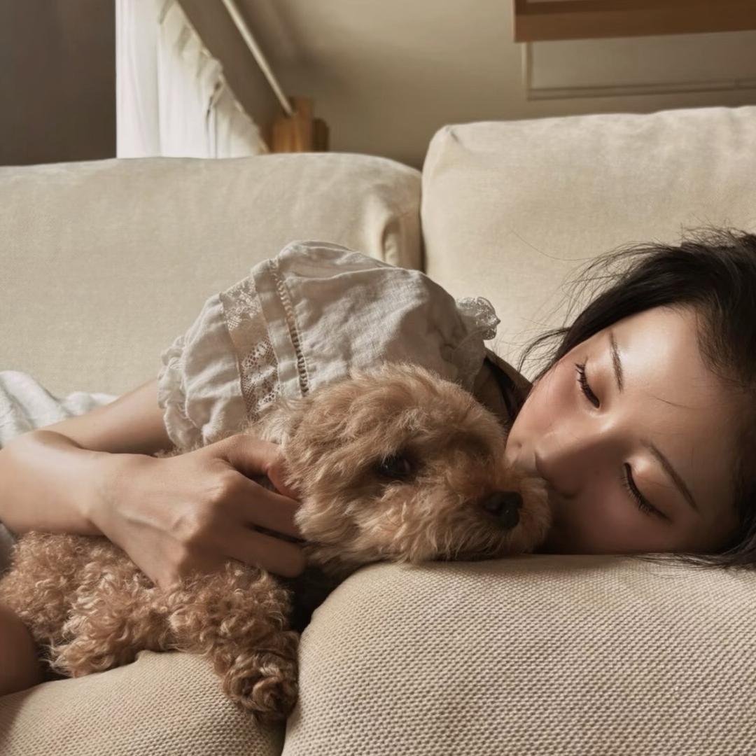 睡觉呼呼ᶻ 𝗓