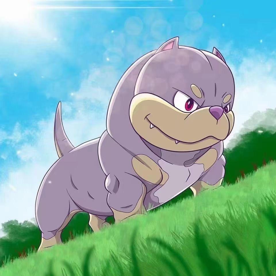 D.代先生