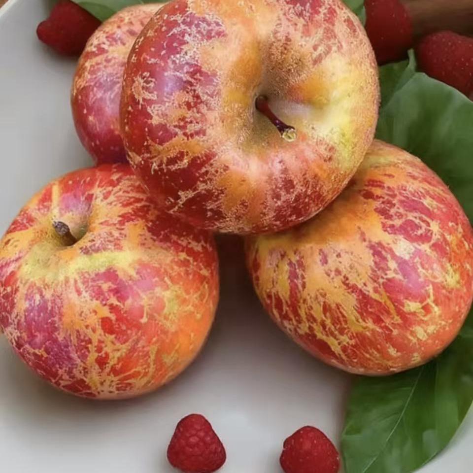 吖丫的农场