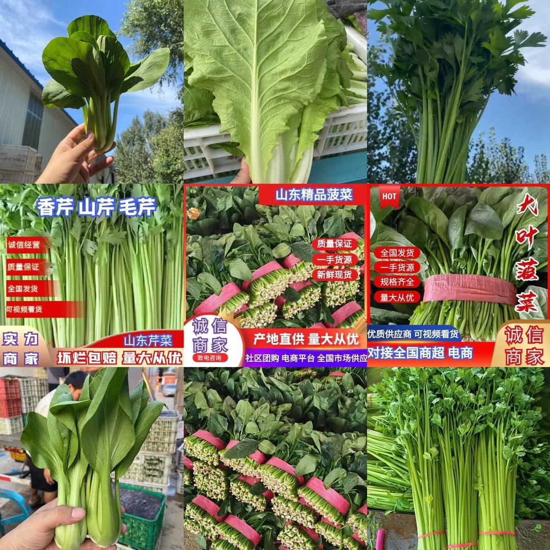琳琳蔬菜产销中心《批发蔬菜》
