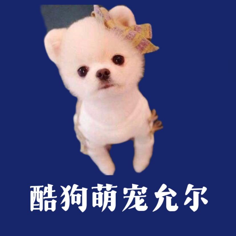 酷狗萌宠允尔