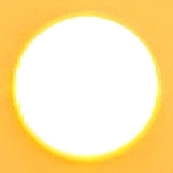 浆糊®