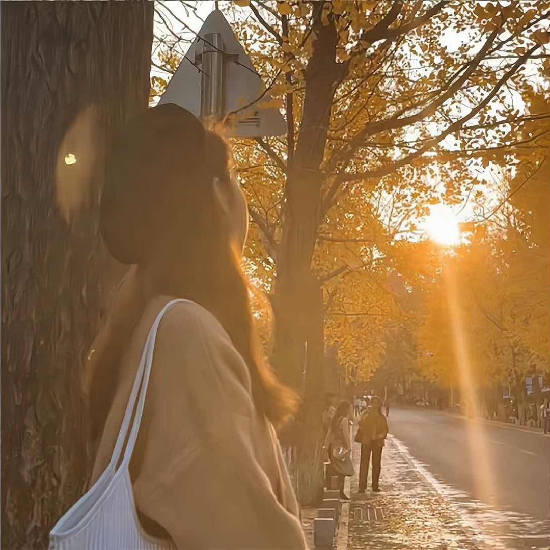 ✨一池星光🫶