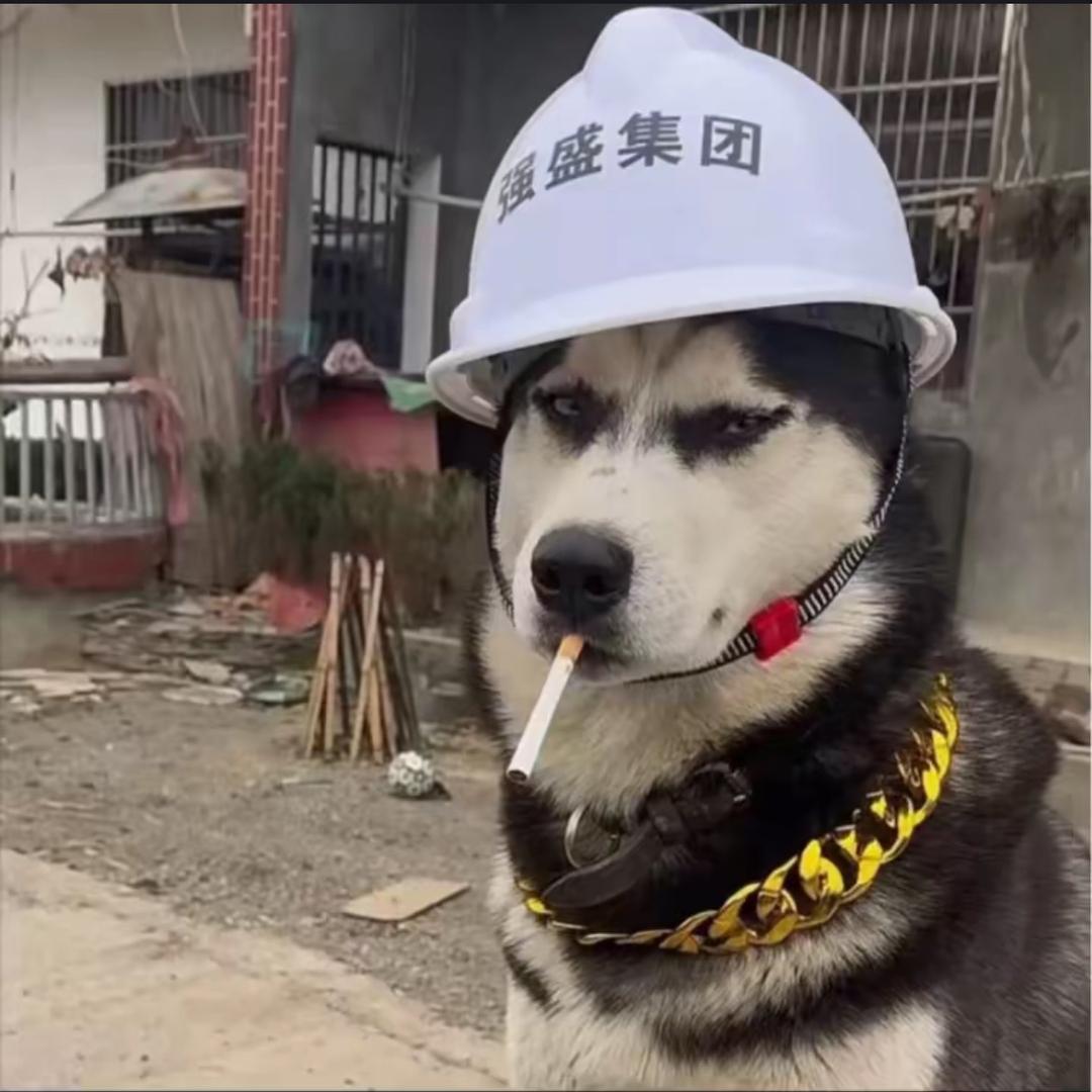 有点小u伤-