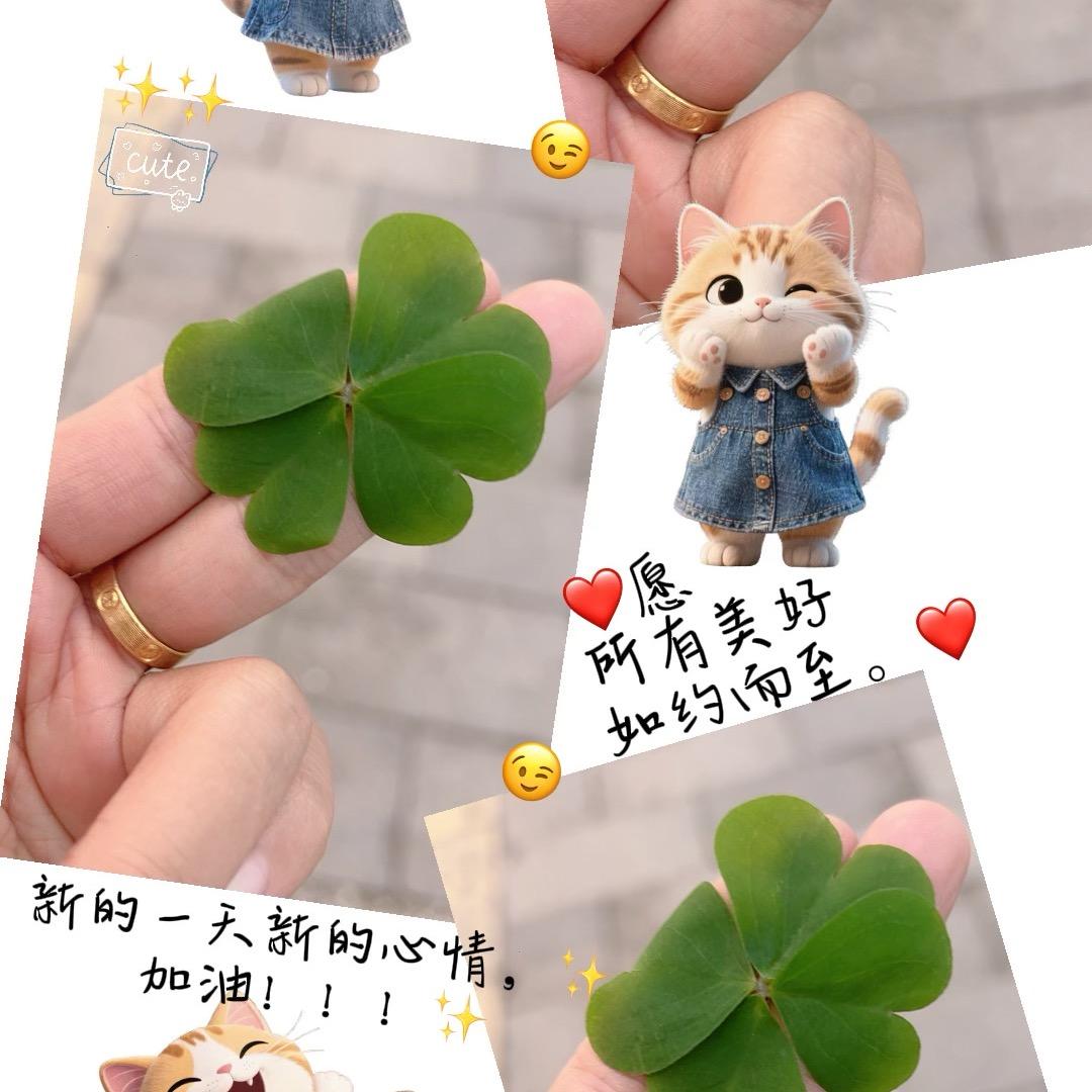 心❤️已打烊🪢