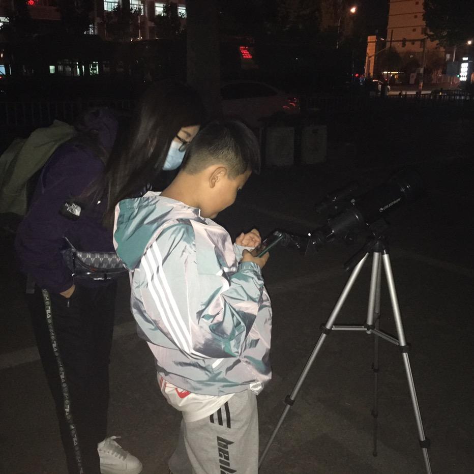 自由的条纹