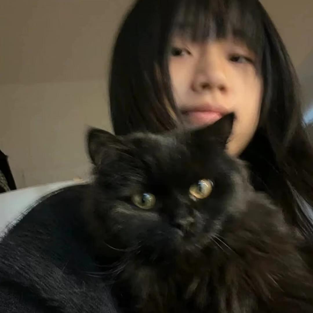 樊洳