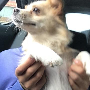 执悟