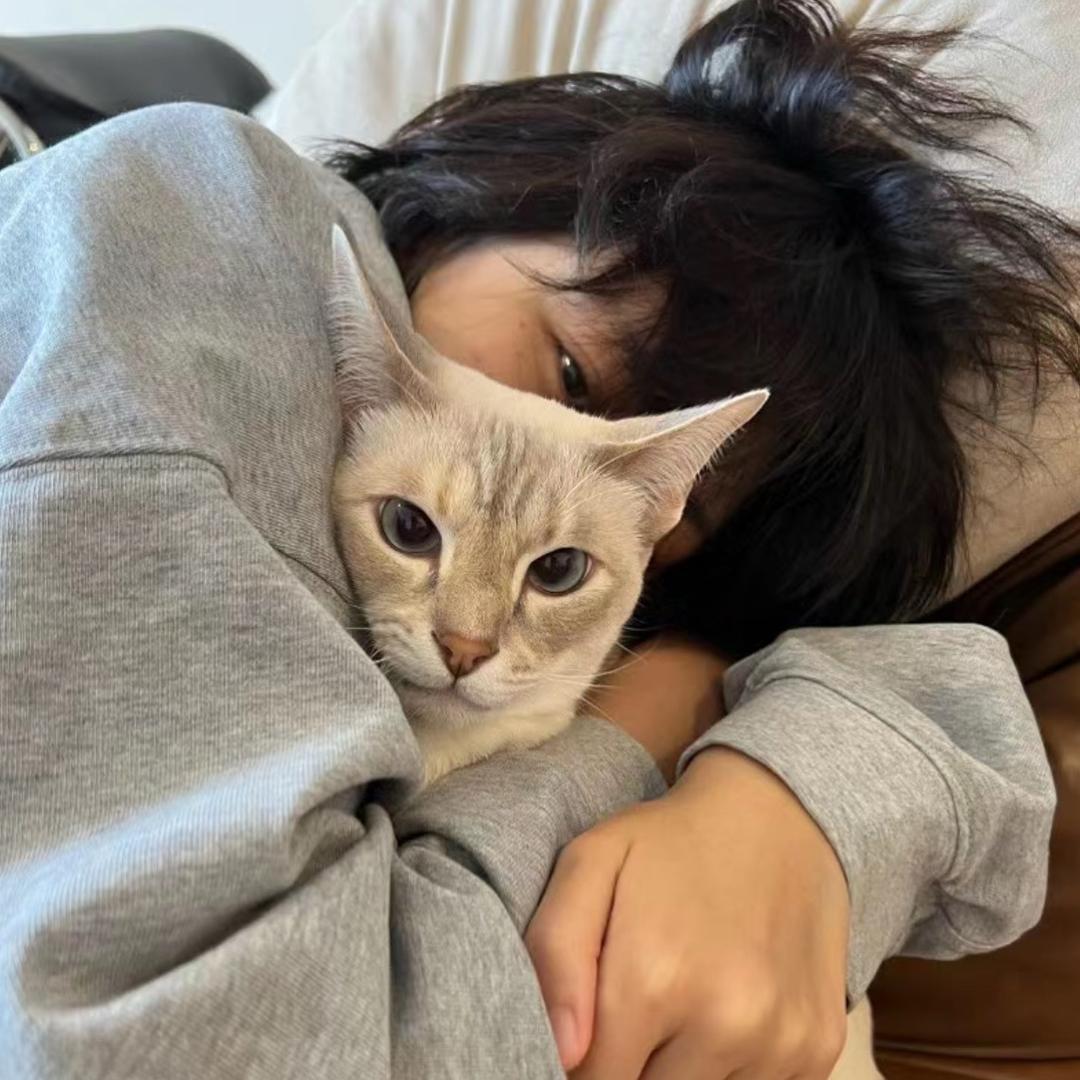 聪明蛋蛋蛋蛋蛋蛋_