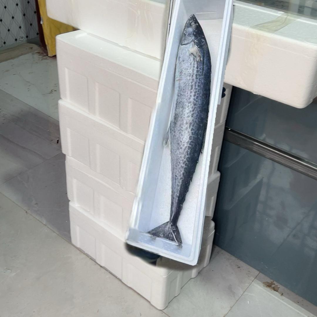 青岛海鲜冷储基地