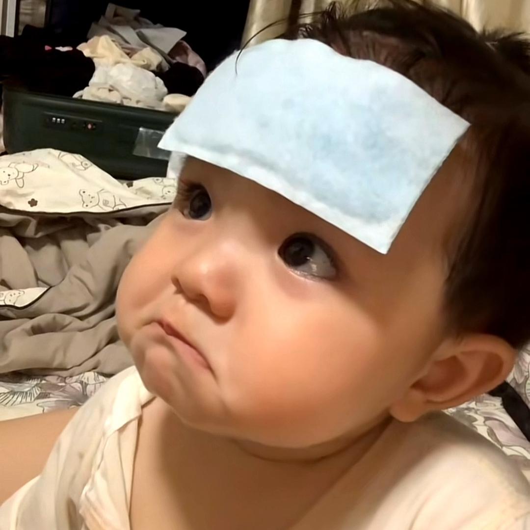 .蒲公英.