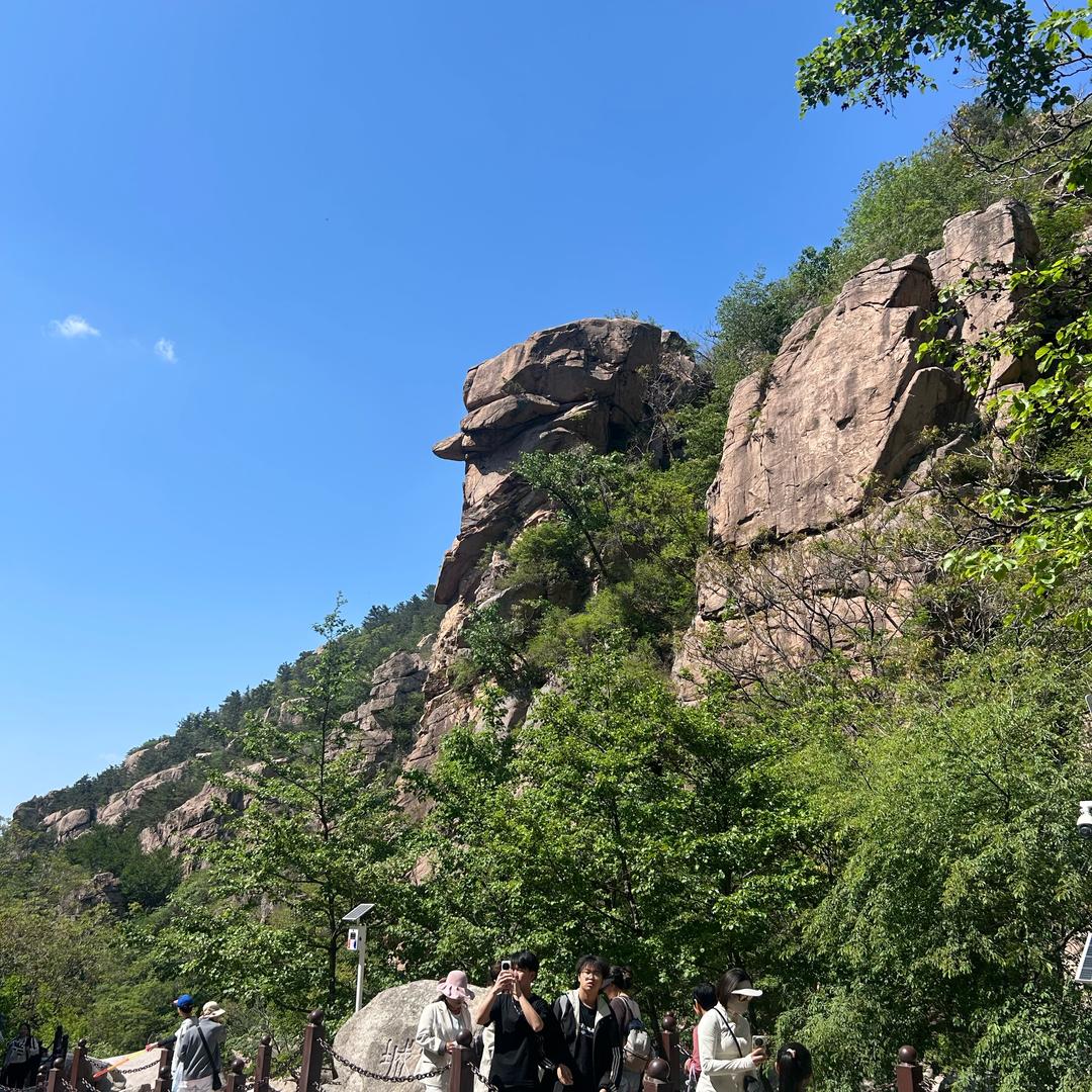 宅在家里搞创作