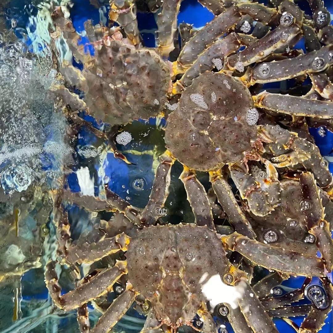 陈江河海鲜水产批发官方号