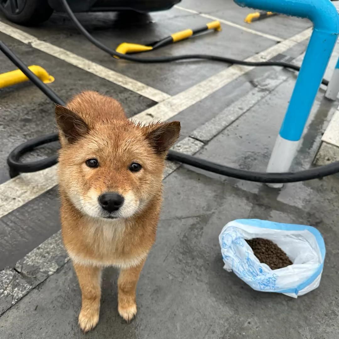 阿鱼鱼🐾