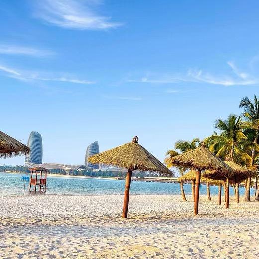 海南海花岛小猪