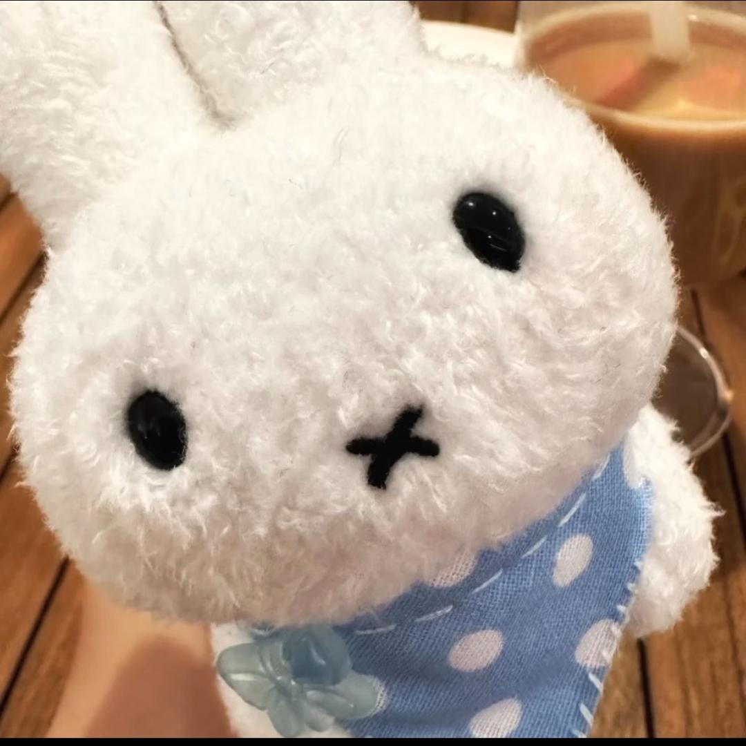 林子里的小松鼠