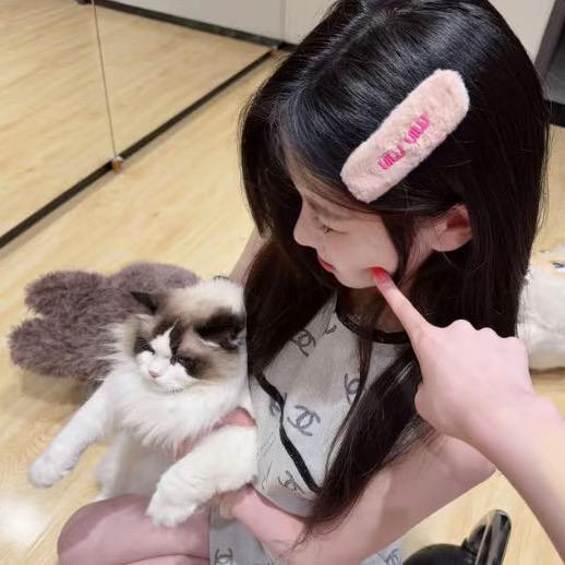 呆呆