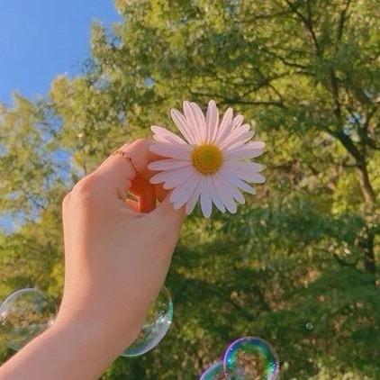 @💍最爱你的人💋