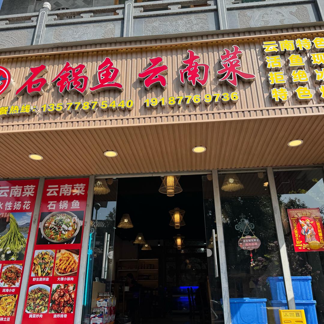 大理琴儿
