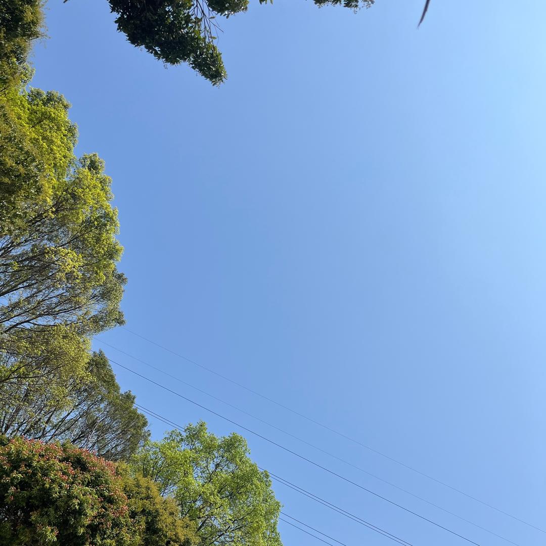 小小oo