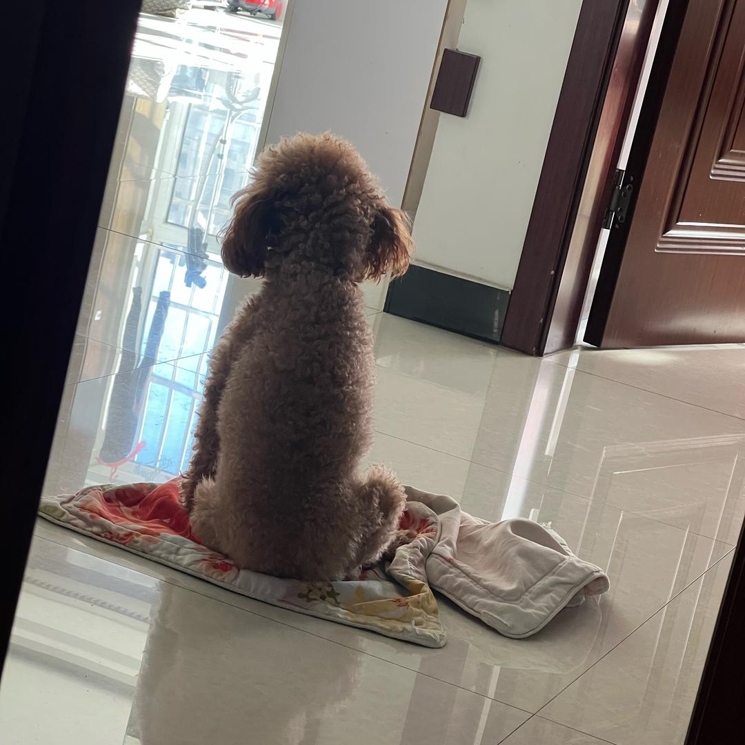 陶渊明.