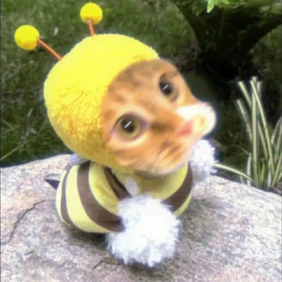 轩轩轩轩_