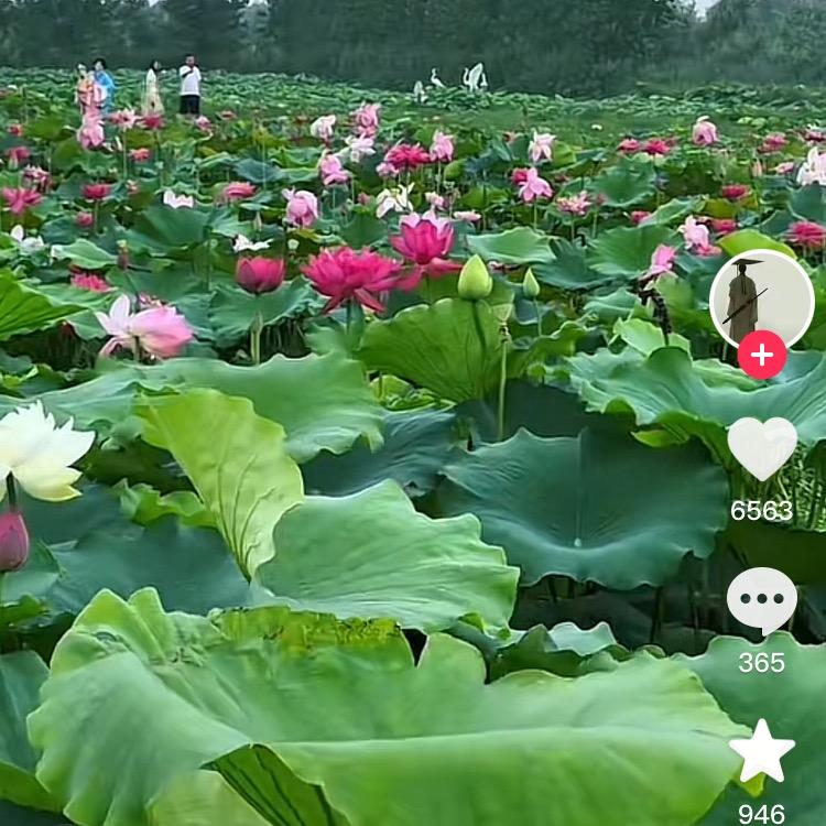 幸福一生，