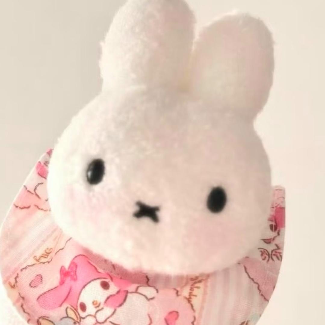 菲鱼罐头