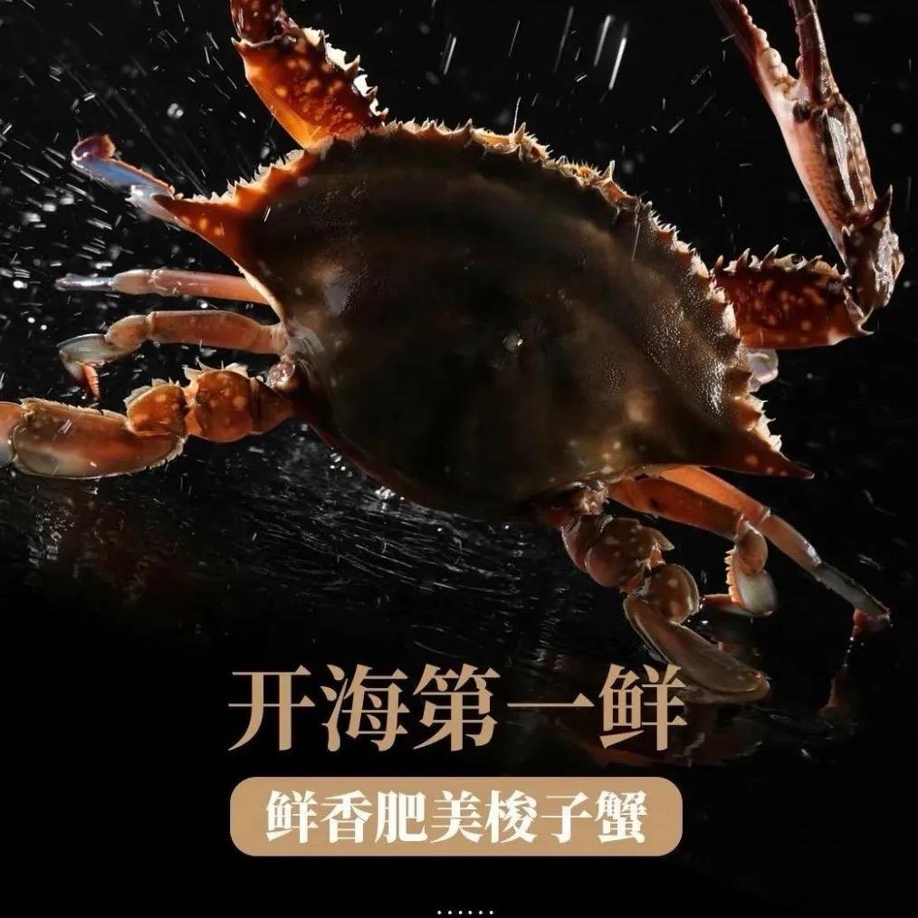 肥美梭子蟹