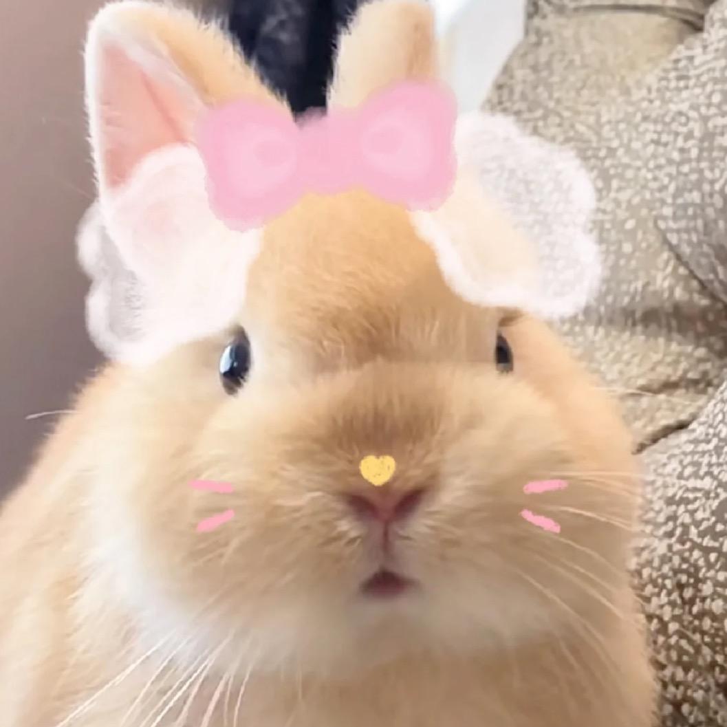 Yii